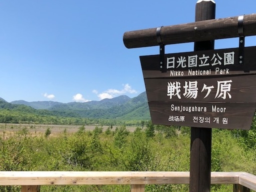 【避暑地で夏を堪能｜おにぎり弁当付】アクティブティも癒しも両立！自慢の温泉でリフレッシュ≪1泊3食≫