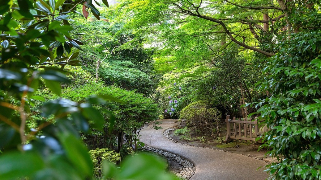 お部屋代のみシンプル♪ベーシックプラン【Marriott Bonvoy会員価格対象プラン】(素泊り)