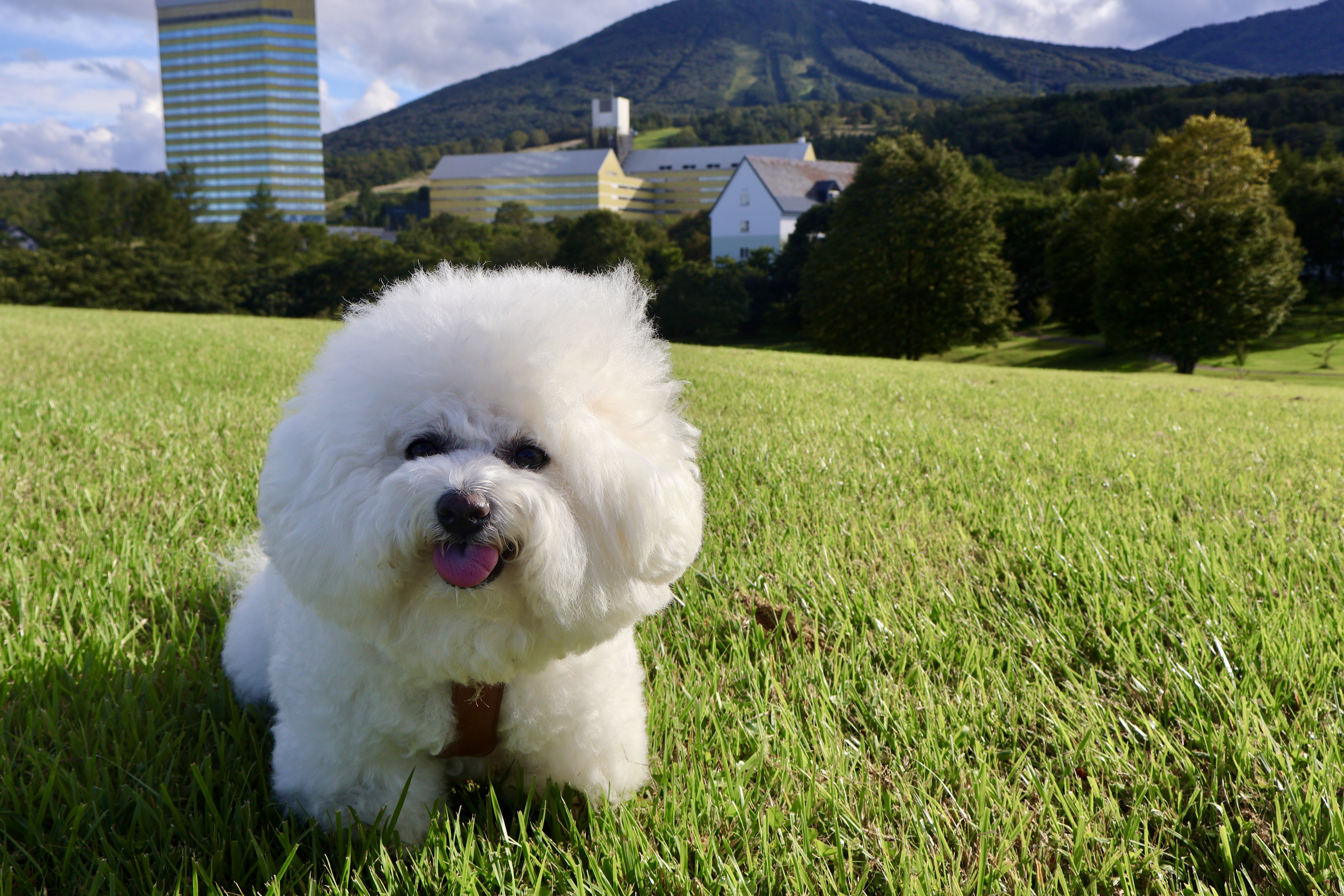 看板犬のぼんぼんも皆様のお越しをお待ちしています♪