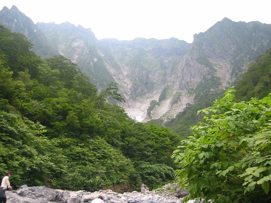 写真1