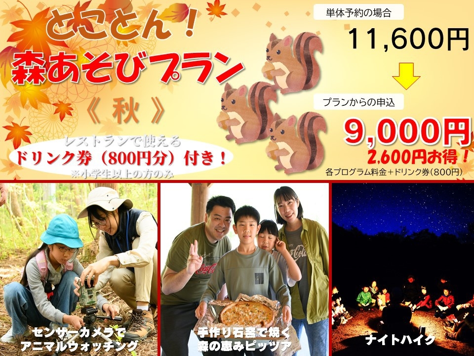 【秋限定】とことん森遊びプラン