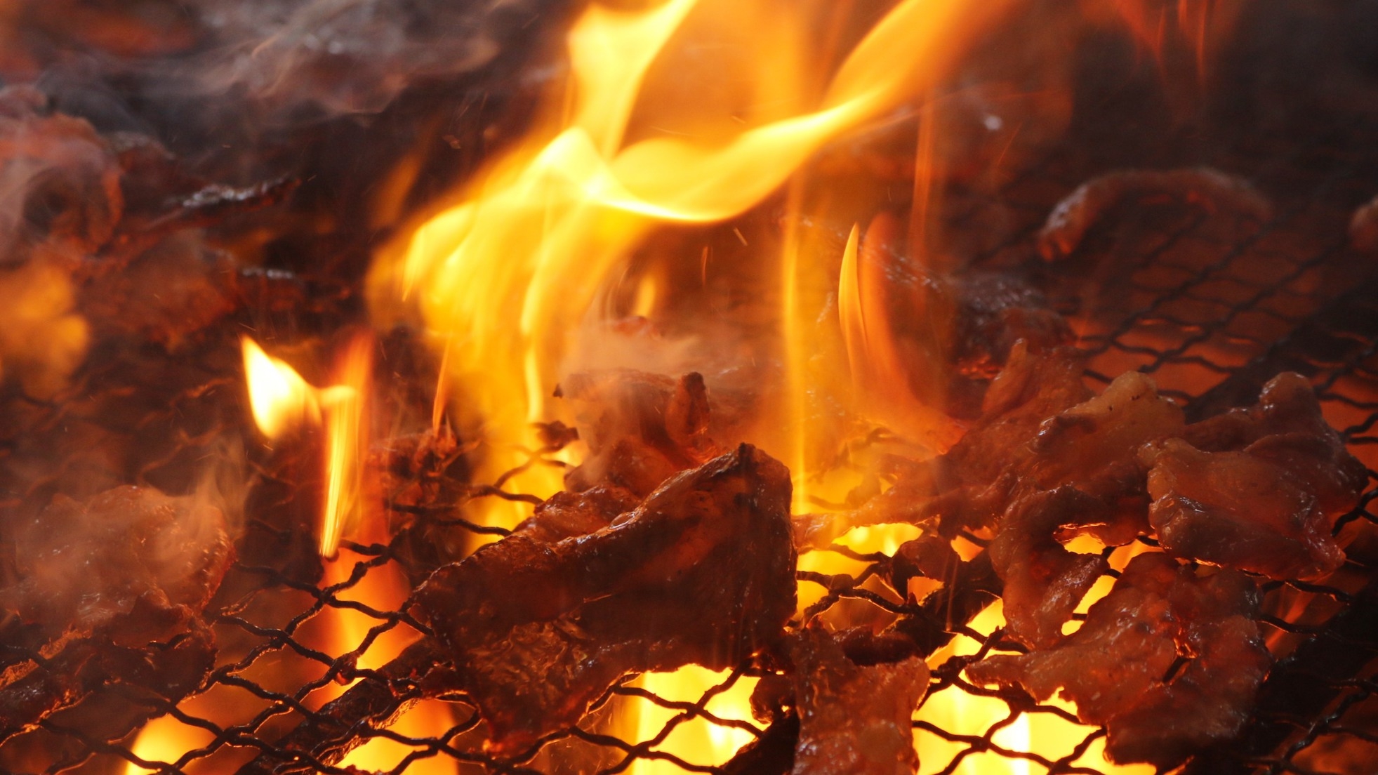 【手ぶらでBBQ】お昼にバーベキュー！食材、BBQ用品はこちらで用意します！【1泊3食付】