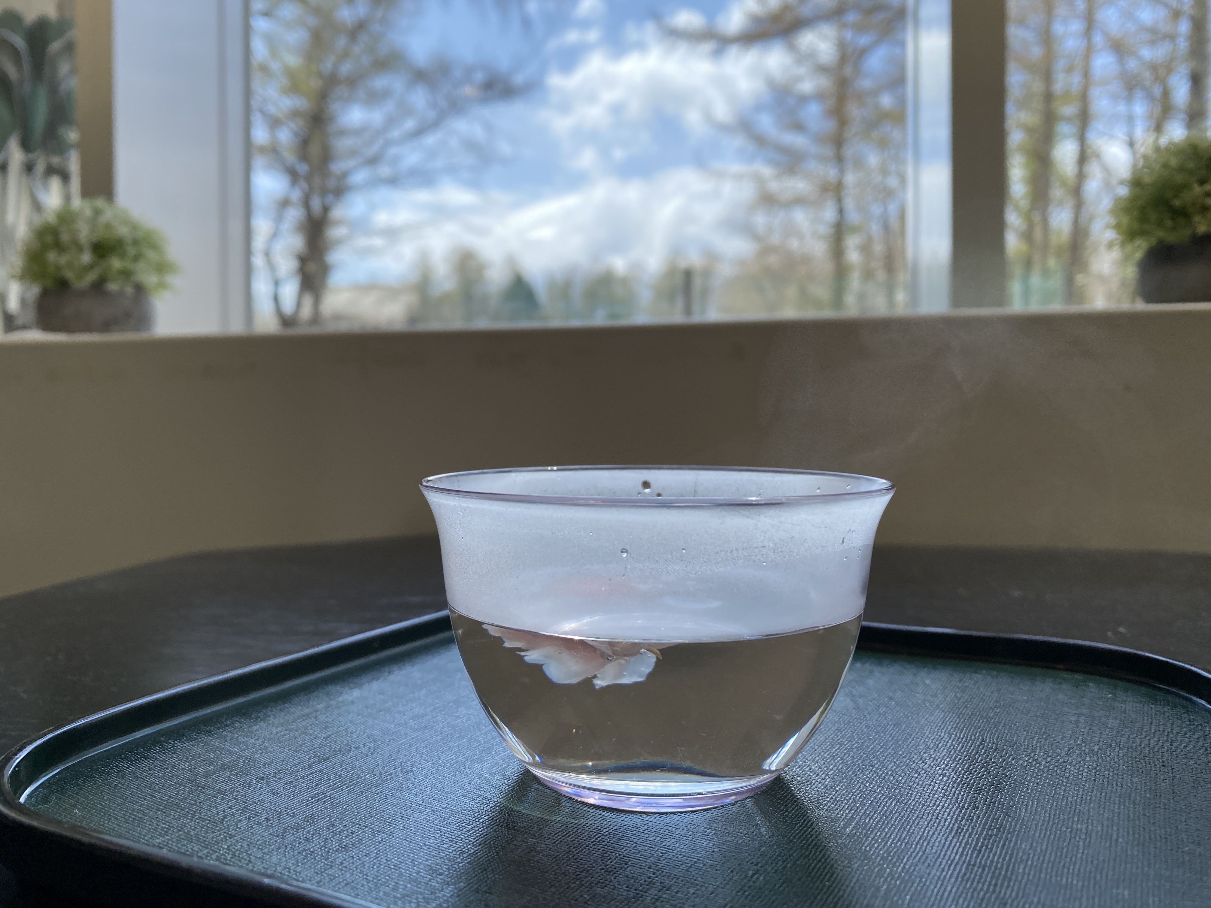 桜茶