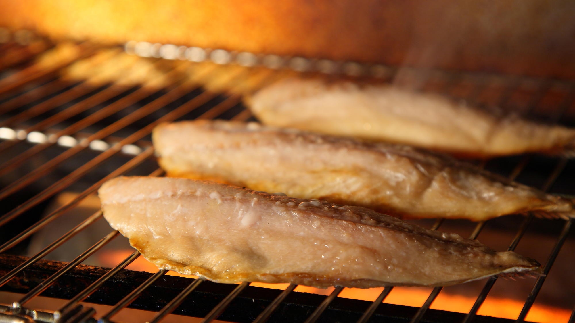 ≪Renewal Open記念≫ 網元の天然地魚と旬食材を活かす創作料理（花しぶき標準プラン）