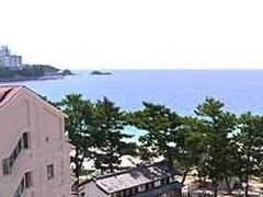 写真2