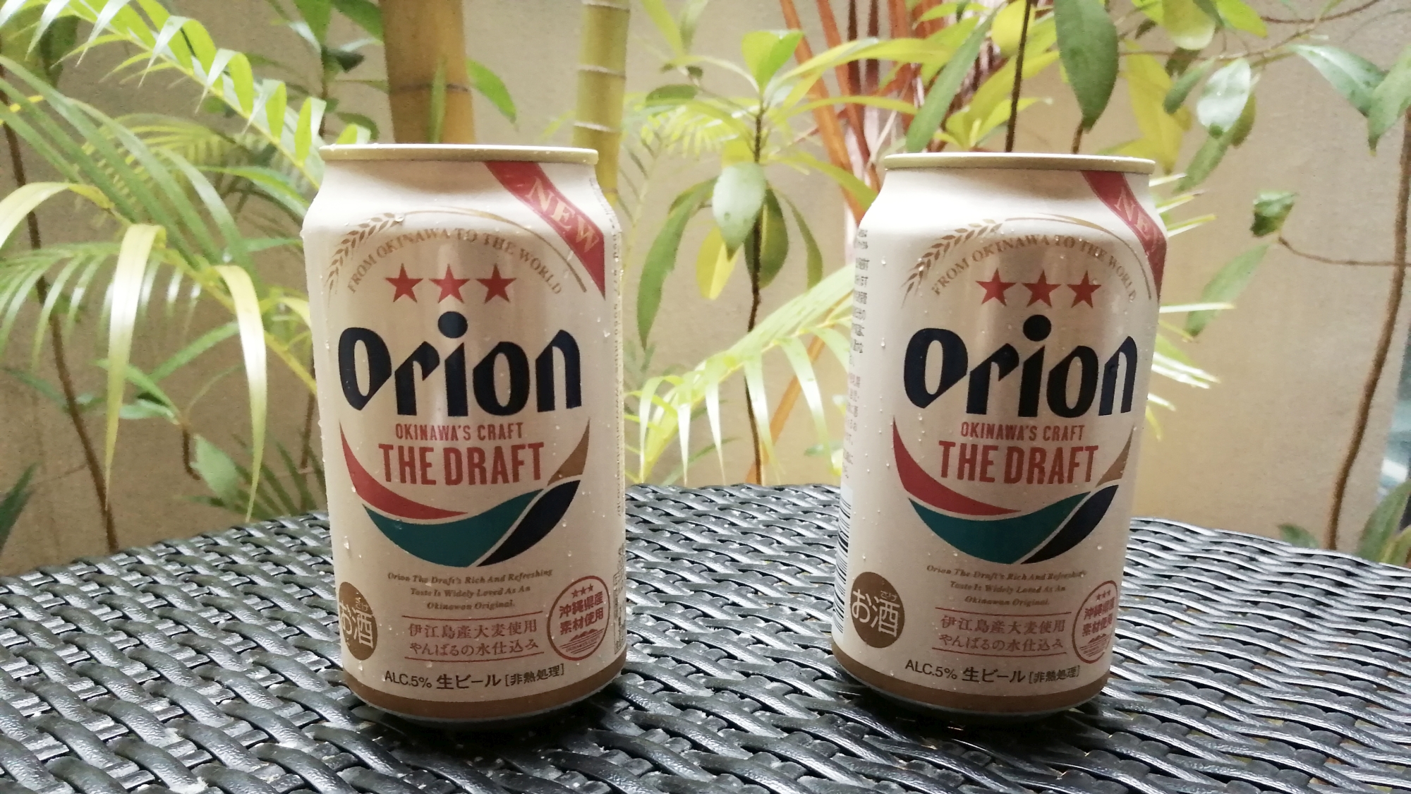 仕事終りにシュワッと一息！冷蔵庫フリープラン