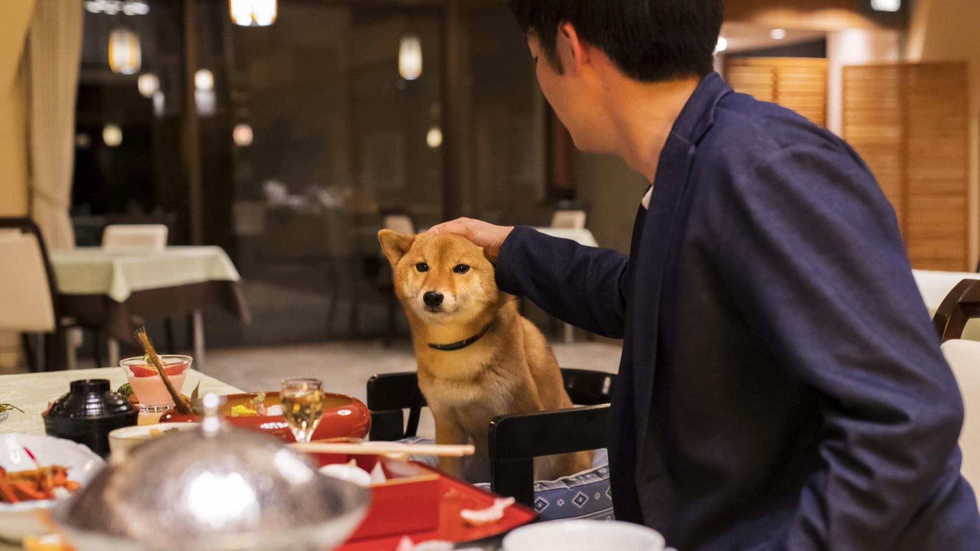 【ペット可】【お日にち限定】【スタンダード「会席」プラン】お日にち限定の特別価格でお得に伊豆旅！