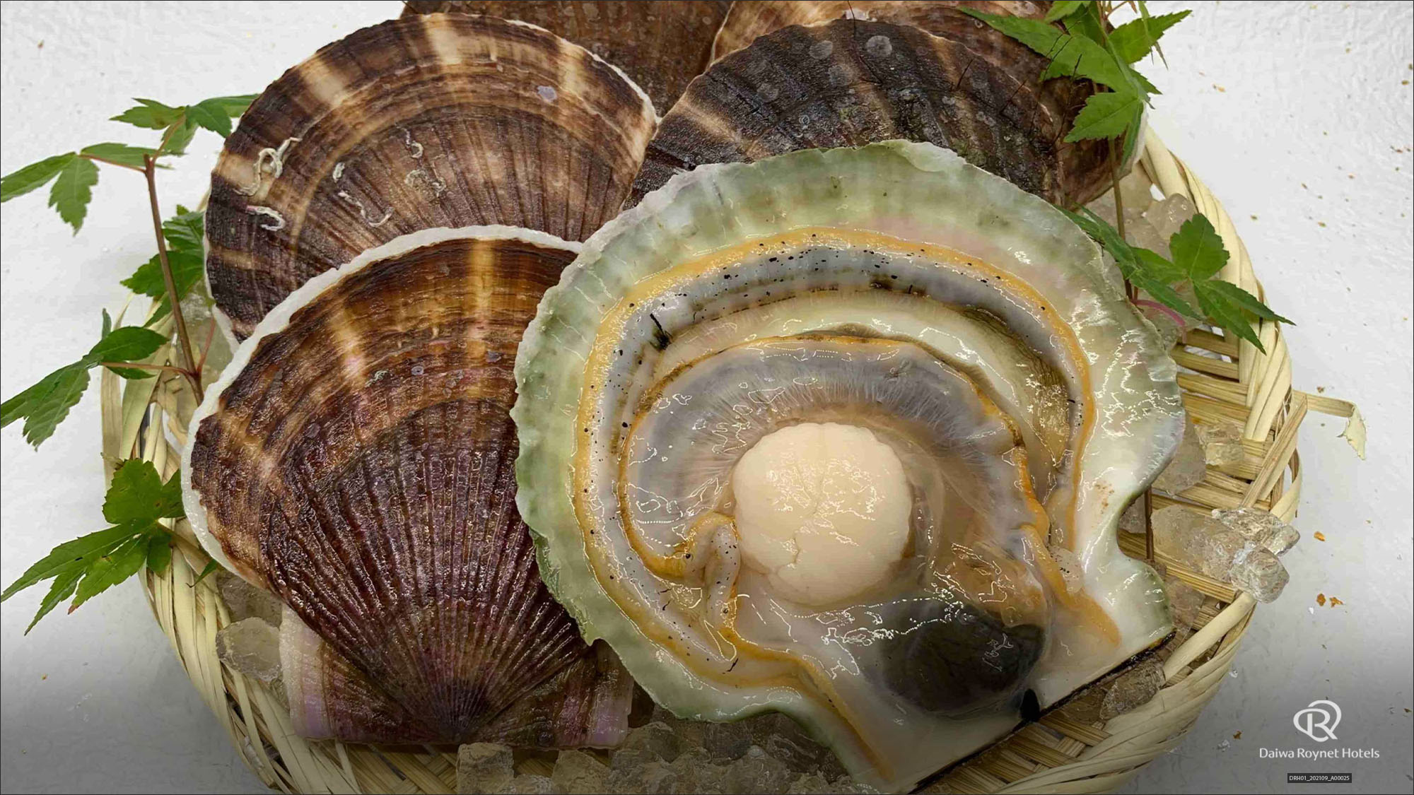 1階居酒屋「海の台所 稲瀬」夕食メニュー一例　◆活ホタテ