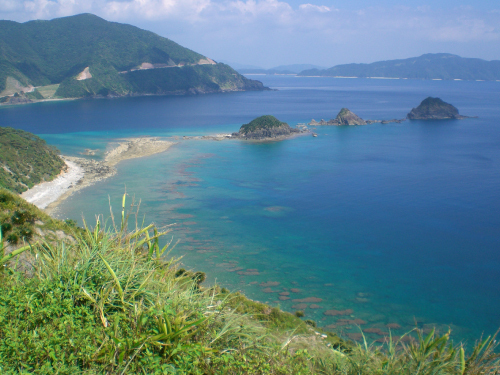 写真3