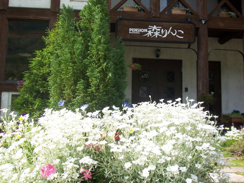写真2