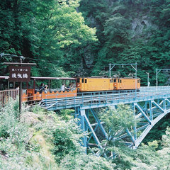 黒部峡谷鉄道【後曳橋】
