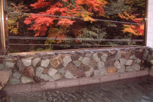 onsen image 1