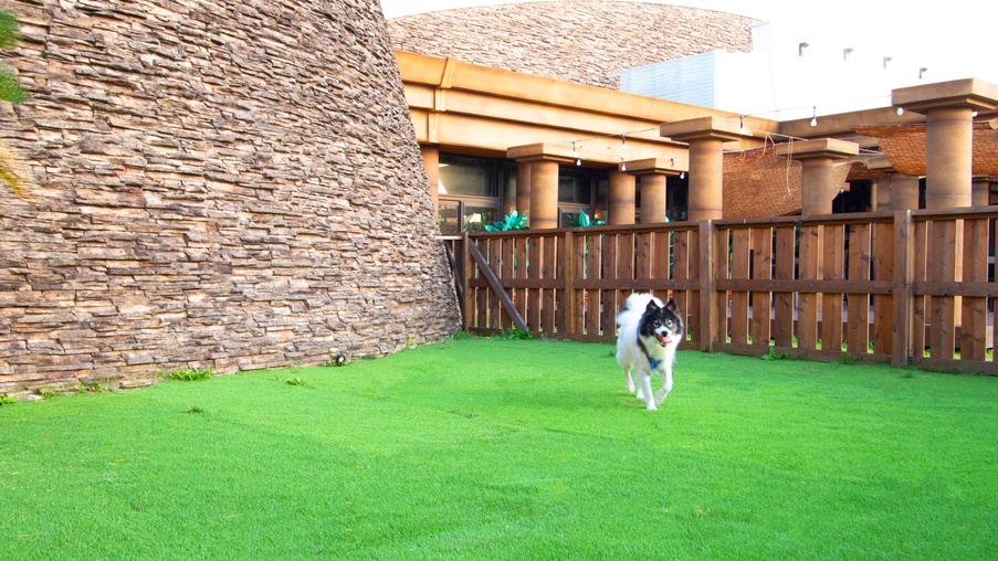pet image 1