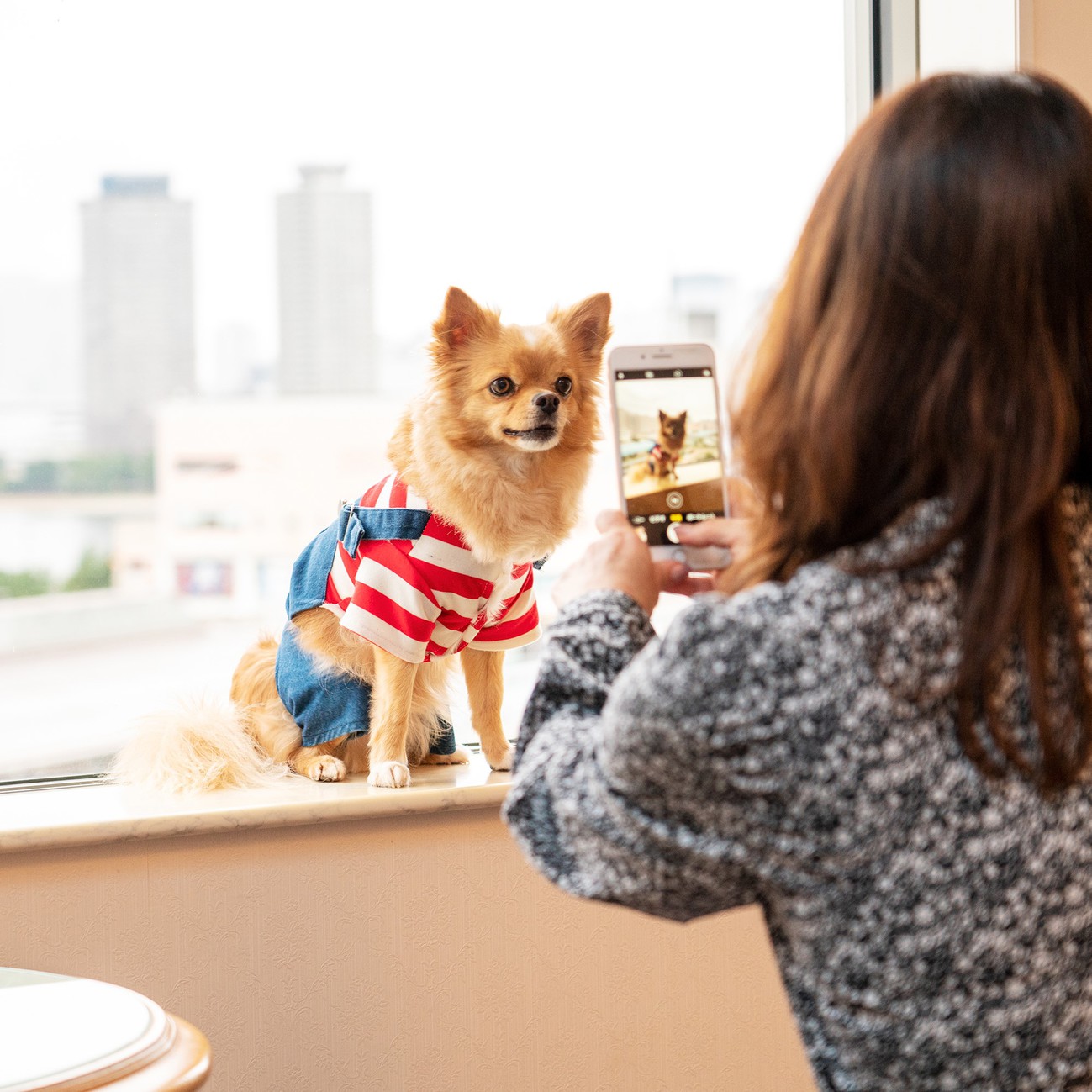 pet image 1